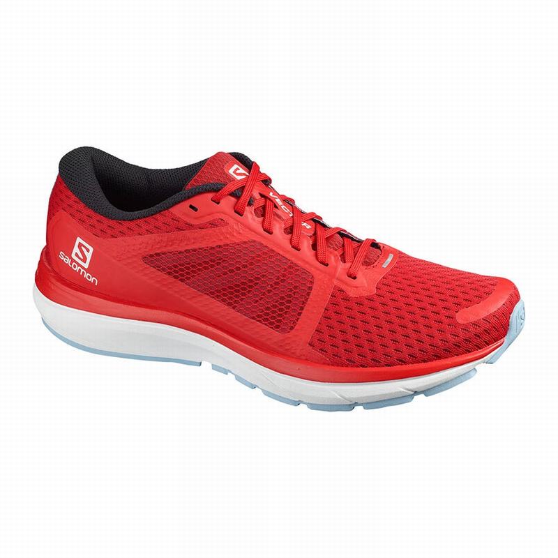 SALOMON VECTUR Philippines - Men's Running Shoes - Red | 470825-SEO